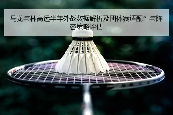 马龙与林高远半年外战数据解析及团体赛适配性与阵容策略评估